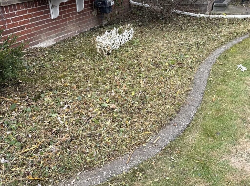 Front of house flower bedding cleared